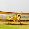 Vintage Yellow Biplane paint by number