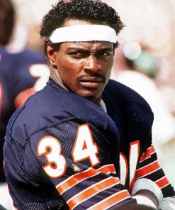 Walter Payton paint by number