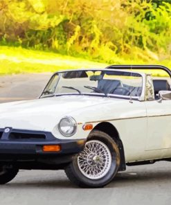 White MG Mgb Car paint by number
