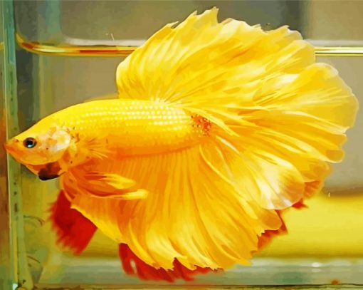 Yellow Betta Fish paint by number