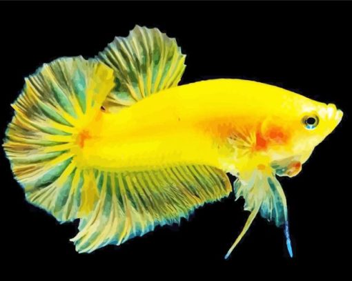 Betta Fish Yellow paint by number