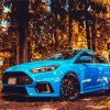 Blue Rs Focus In The Forest paint by number