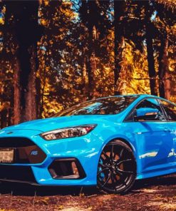 Blue Rs Focus In The Forest paint by number