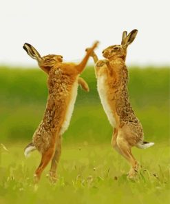 Boxing Hares paint by number