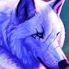 Galaxy Anime Wolf paint by number