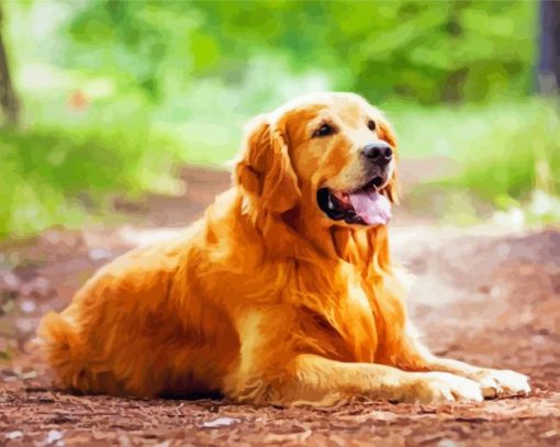 Golden Retriever Puppy paint by number