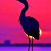 Heron Silhouette paint by number
