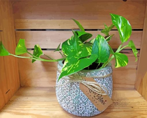 Ivy Plant In A Pot paint by number