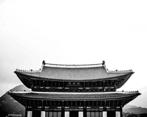 Korea Black And White paint by number