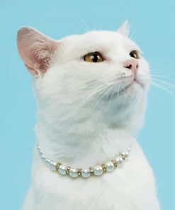 Luxurious Pearl Pet Cat paint by number