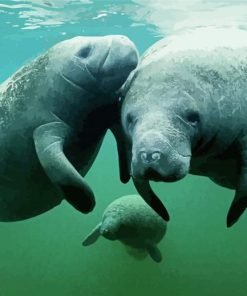 Manatees Family Underwater paint by number