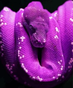 Purple Snake Reptile paint by number