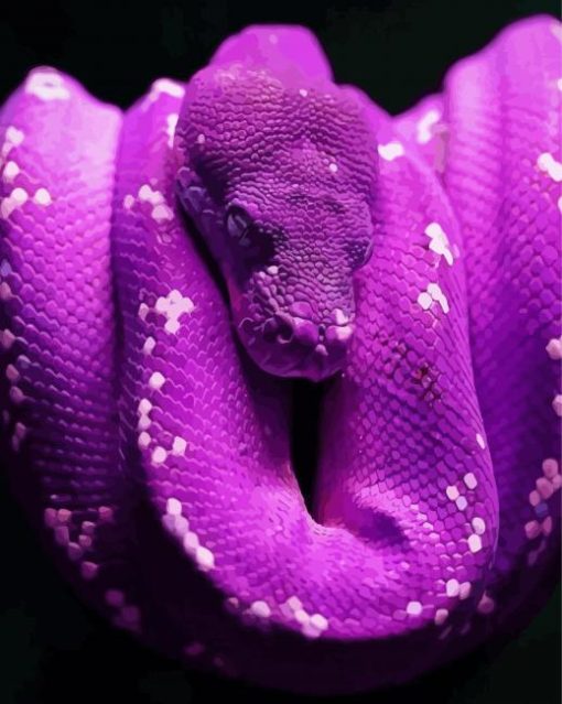 Purple Snake Reptile paint by number