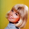 The Actress Doris Day paint by number