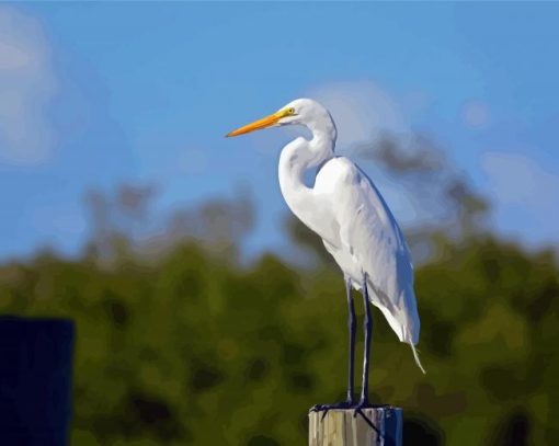 White Herron paint by number
