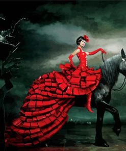Woman In Red On A Black Horse Art paint by number