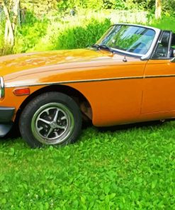 1980 Mg Orange Car paint by number