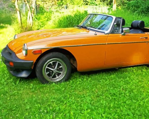 1980 Mg Orange Car paint by number