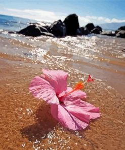 Aesthetic Beach Flowers paint by number