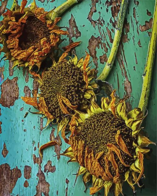 Aesthetic Decaying Sunflower paint by number