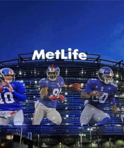 Aesthetic NY Giants Stadium paint by number