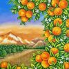Aesthetic Orange Grove Art paint by number