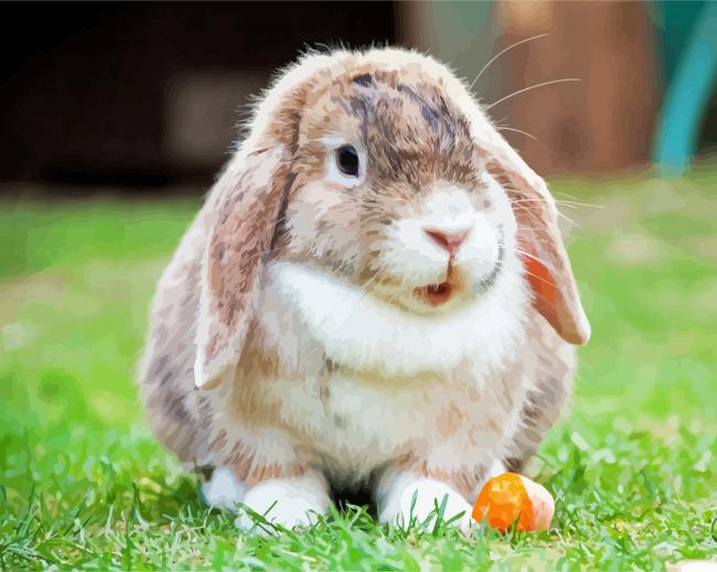 Aesthetic Mini Lop Rabbit paint by number