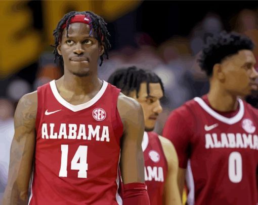 Alabama Crimson Tide Mens Basketball Players paint by number