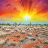Beautiful Sunset In Australian Outback paint by number