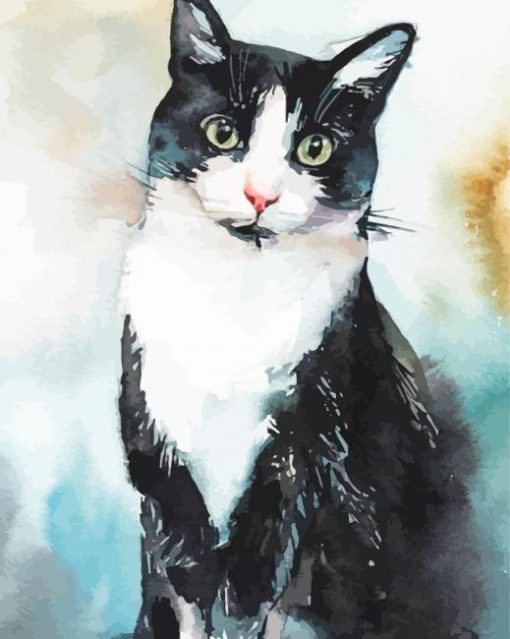 Bicolor Cat Art paint by number