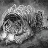 Black And White Tiger And Skull Art paint by number