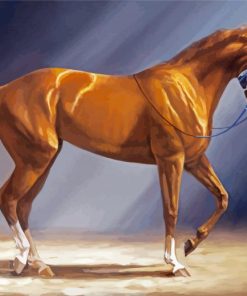 Brown Secretariat Horse paint by number