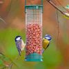 Cute Birds Feeder paint by number