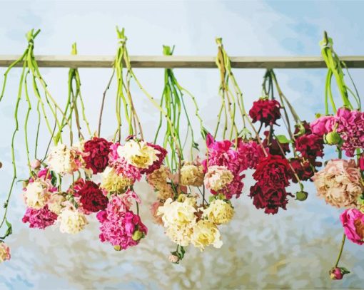 Dried Flowers Hanging paint by number