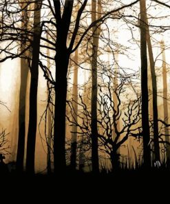 Evening Dark Forest paint by number