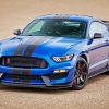 Ford Mustang Shelby GT350R paint by number