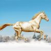 Galloping Horse paint by number