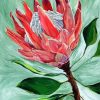 King Protea Plant Art paint by number