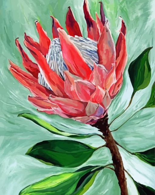 King Protea Plant Art paint by number