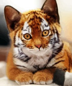 Kitten Tiger paint by number