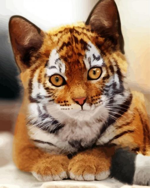 Kitten Tiger paint by number