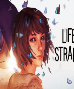 Life Is Strange Video Game Poster paint by number