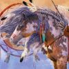 Native American Horse paint by number