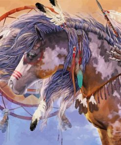 Native American Horse paint by number
