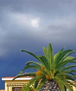 Palm Tree And Grey Sky paint by number