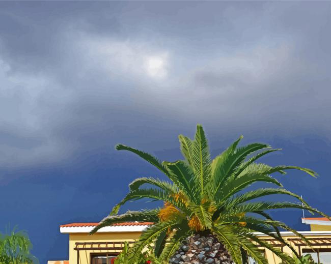 Palm Tree And Grey Sky paint by number