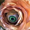 Peachy Eye Flower paint by number