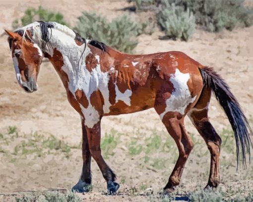 Piccaso The Wild Horse paint by number