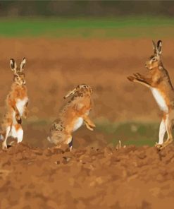 Rabbits Dancing paint by number