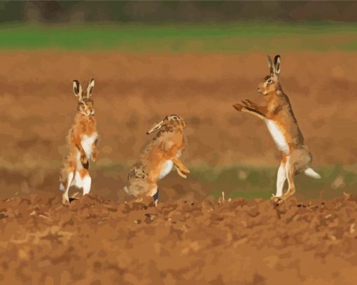 Rabbits Dancing paint by number